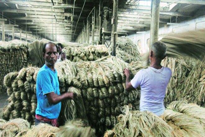 Jute-Textile Wing